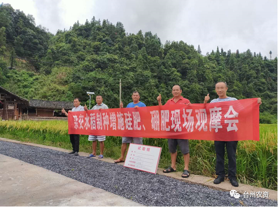 臺(tái)州農(nóng)資 臺(tái)州農(nóng)資