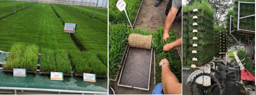 臺州農(nóng)資 臺州農(nóng)資