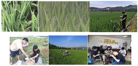 臺州農資 臺州農資